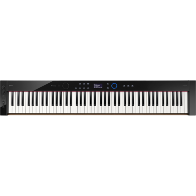 CASIO Digital Keyboard